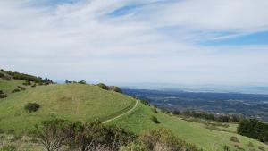 trail at top of Windy Hill