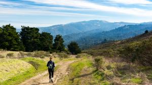 hiking at Windy Hill