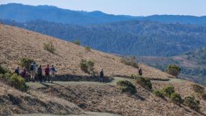 Western Meadowlark Trail Western Meadowlark Trail