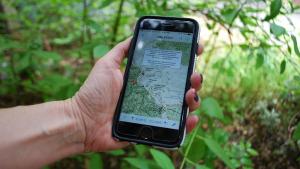 hand holding a smart phone displaying a map