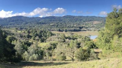 Potential site of new trail in Beatty Property