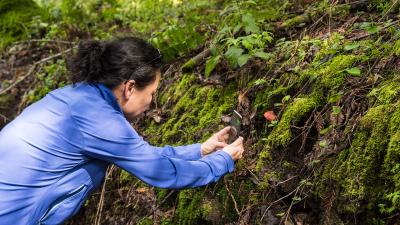 a woman taking a photo of moss with a mobile device