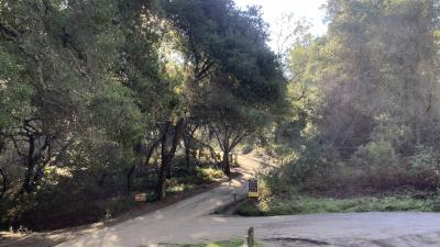 The work is occurring in the Thornewood Open Space Preserve along the first half-mile of the Schilling Lake Trail, up to approximately 200 feet from trail. 