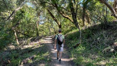 (Frances Freyberg) Hiker walks along trail
