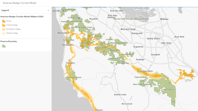 A screenshot of Midpen's American badger habitat corridor model