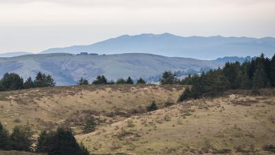 View of ridgeline at Pescadero