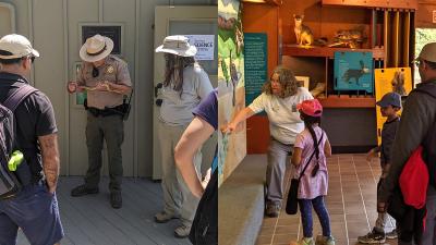 people participating in activities at the nature center