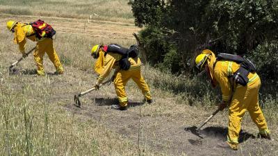 Three people in firefighting gear using tools to create fire break on grassy hillside
