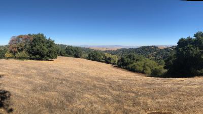 Hawthorns Property at Windy Hill Open Space Preserve View of rolling golden field and oak trees