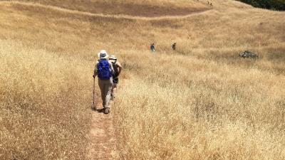 hikers on a trail through the golden hills