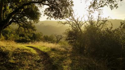 Los Trancos, Sunset Trail