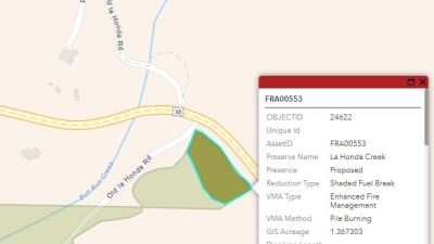 Map of pile burn location