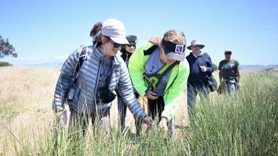 Participants in the Midpeninsula Regional Open Space District's Bayside Family Festival explored a section of the San Francisco Bay Trail with docent naturalists April 30 in Midpen's Ravenswood Open Space Preserve near East Palo Alto. (Leo Leung)