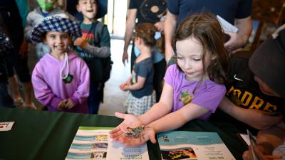 Children explore the insect discovery lab at the Midpeninsula Regional Open Space District's Bayside Family Festival on April 30 in Midpen's Ravenswood Open Space Preserve near East Palo Alto. (Leo Leung)