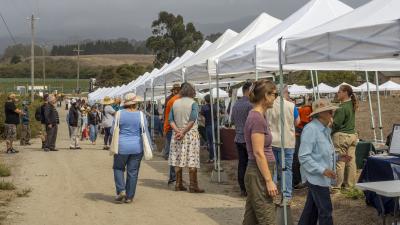 More than 1,000 people enjoyed booths, educational talks and demonstrations during Midpen's 50th anniversary Coastside Community Celebration in Half Moon Bay on September 10.