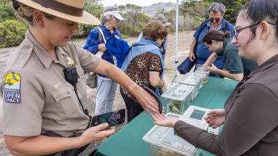 Ranger Megan Maxwell visits the Insect Discovery Lab at Midpen's 50th anniversary Coastside Community Celebration in Half Moon Bay on September 10. (Jack Owicki)