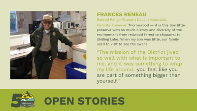 Frances Reneau - Open Stories