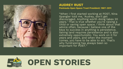 Audrey Rust - Open Stories