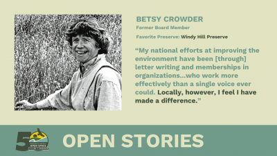 Betsy Crowder - Open Stories