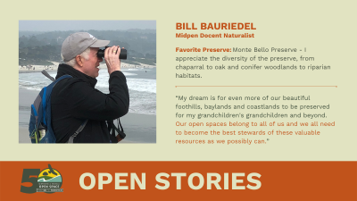 Open Stories - Bill Bauriedel