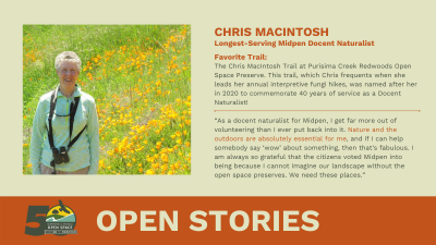 Open Stories on Chris Macintosh