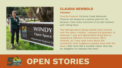 Claudia Newbold - Open Stories