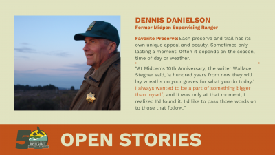 Open Stories - Dennis Danielson