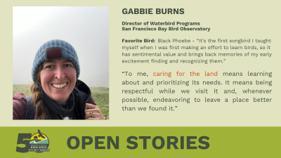 Open Stories - Gabby Burns