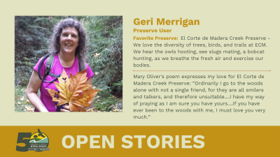 Open Stories - Geri Merrigan