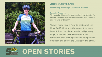 Open Stories - Joel Gartland