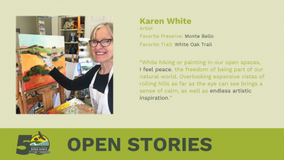 Karen White Open Stories
