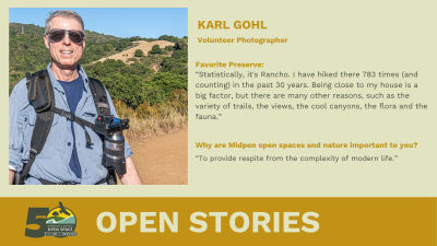 Open Stories - Karl Gohl