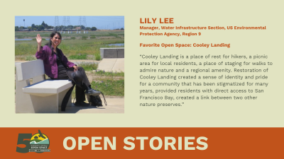 Open Stories - Lily Lee