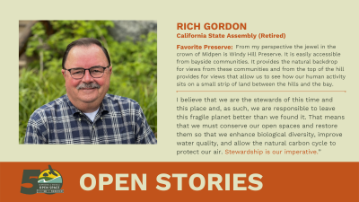 Open Stories - Rich Gordon