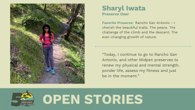 Open Stories - Sharyl Iwata