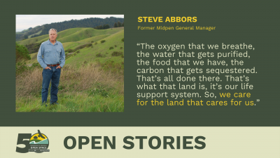 Open Stories - Steve Abbors