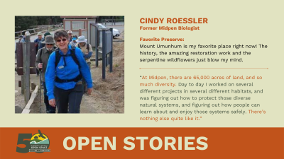 Cindy Roessler Open Stories