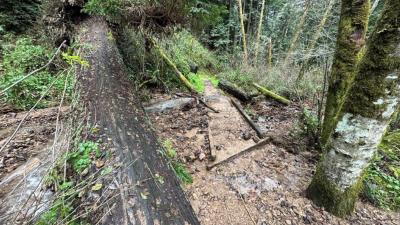 Whittemore Gulch Trail damage due to storm