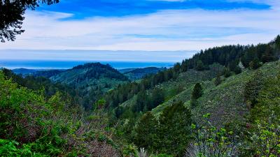 a view to the ocean from Purisima Creek Redwoods