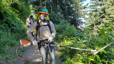 two workers in protective gear carrying hedge trimmers and clearing brush