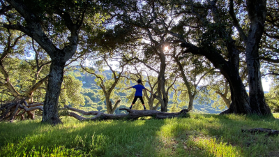 child standing on a log at Picchetti Open Space Preserve