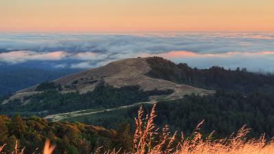 hillside and fog