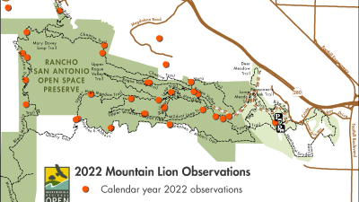 RSA Map of mountain lion sightings in 2022