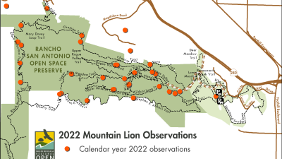 RSA Map of mountain lion sightings in 2022 RSA Map of mountain lion sightings in 2022