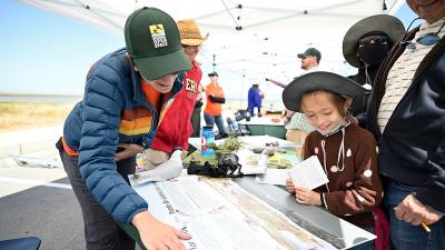 Midpen staff showing a child information about shore birds