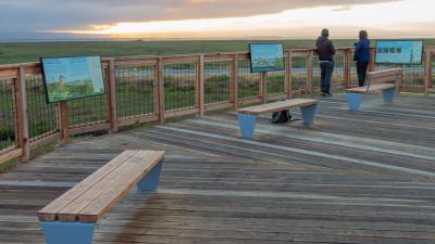 two people on the observation deck overlooking the wetlands