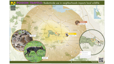 Map of the range of bobcats and coyotes from Rancho San Antonio Open Space Preserve
