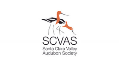 Santa Clara Valley Audubon Society Logo