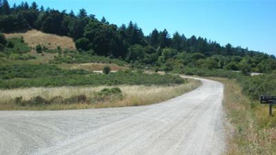 driveway in Skyline Ridge Preserve parking lot