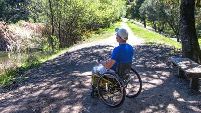 A man in a wheelchair looks at a pond
